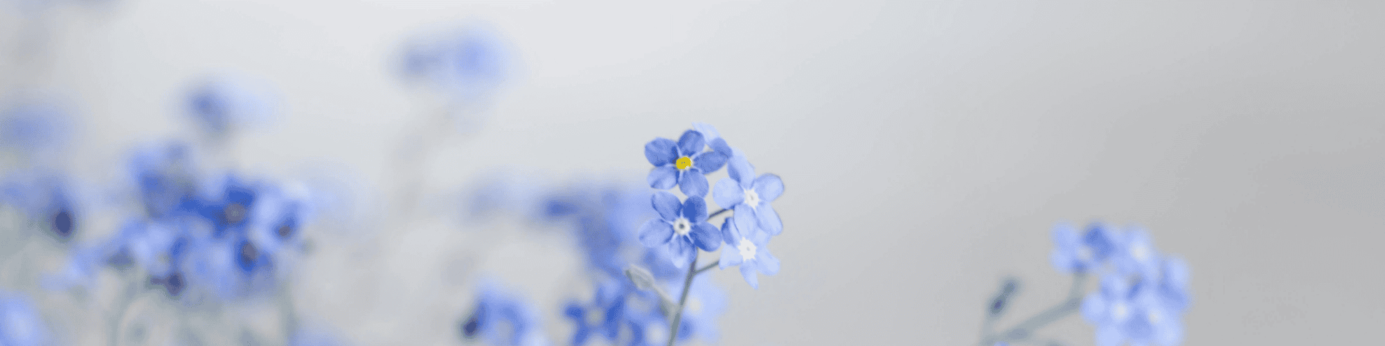 Remembering with thanksgiving*Sunday 16th November at 3pm*